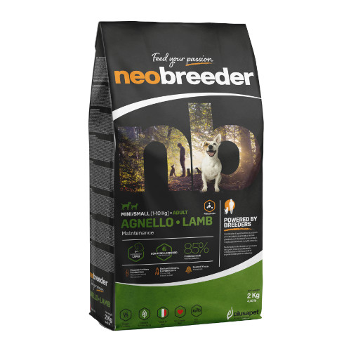 �y�����ؔ��z�l�I�u���[�_�@�����@�����p�i�����j�@�g�p����2026/4/24