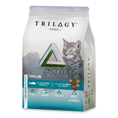 �g�����W�[�o���}���f�B�@���L�p