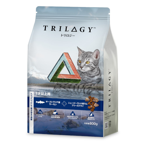 �g�����W�[�T�[�����@���L�p