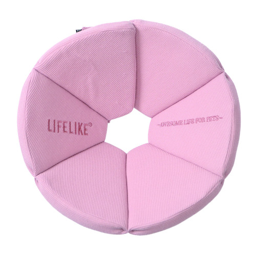 �I�[�K�j�b�N���b�t���G���U�x�X�J���[