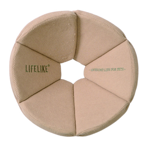 �I�[�K�j�b�N���b�t���G���U�x�X�J���[