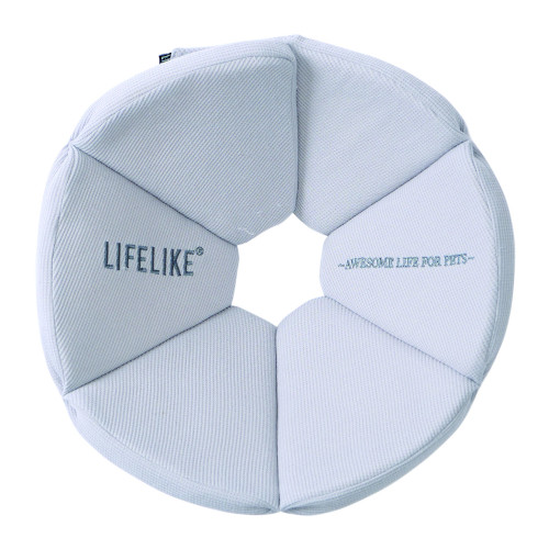 �I�[�K�j�b�N���b�t���G���U�x�X�J���[