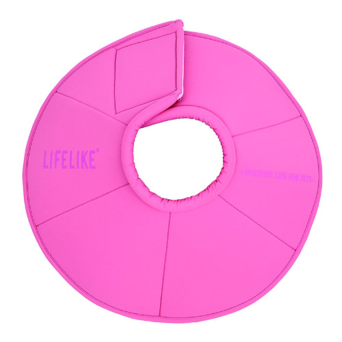 ���C�g�G���U�x�X�J���[