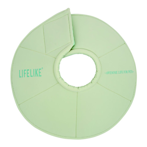 ���C�g�G���U�x�X�J���[