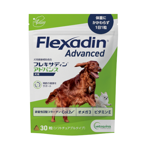 �t���L�T�f�B���A�h�o���X