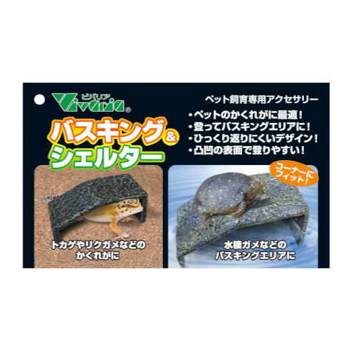 �o�X�L���O���V�F���^�[