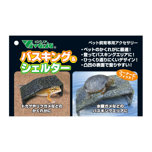 �o�X�L���O���V�F���^�[