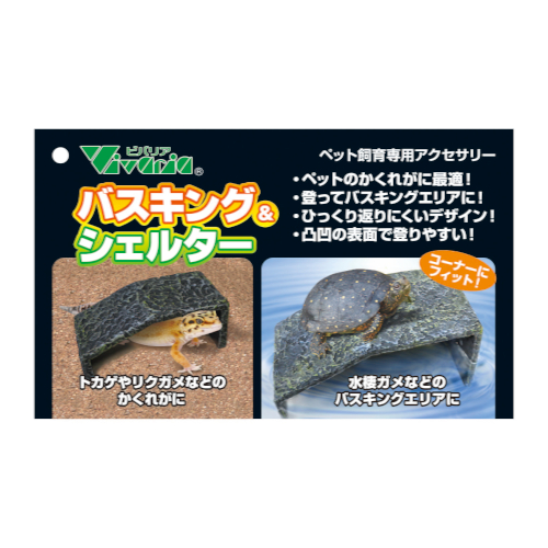 �o�X�L���O���V�F���^�[