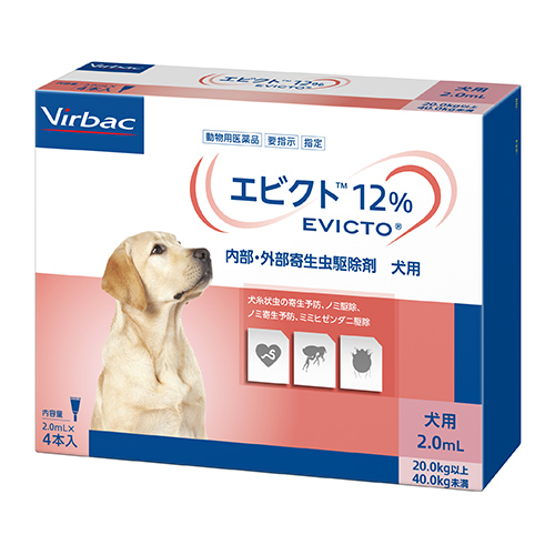 �y�����ؔ��z�G�r�N�g12�� �i2.0mL�j�@�g�p����2026/6/30