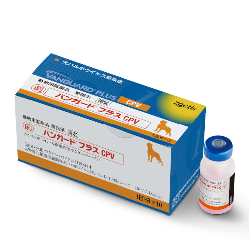 �y�����ؔ��z�o���K�[�h�v���XCPV�@�g�p����2026/5/31