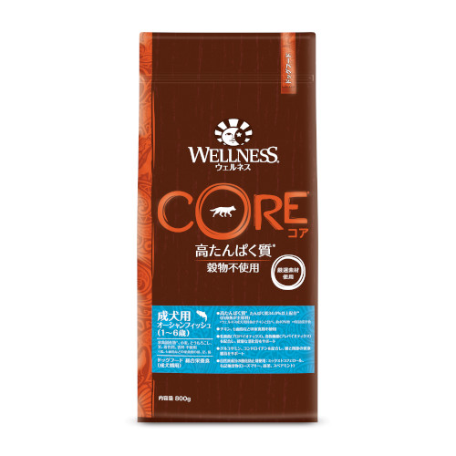 �y�����ؔ��z�R�A�@�����p �I�[�V�����t�B�b�V���@�g�p����2026/6/8