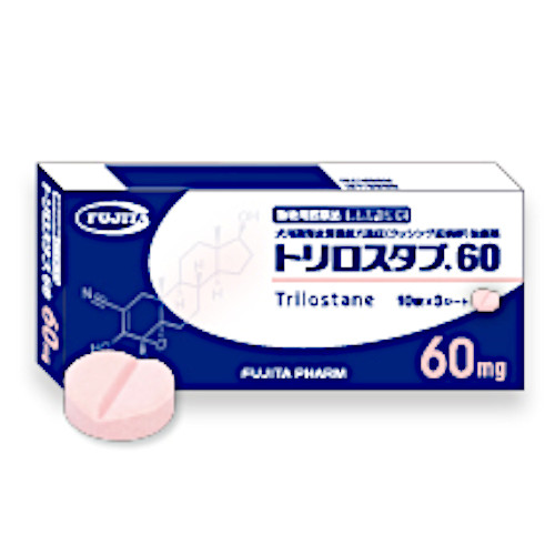 �g�����X�^�u60