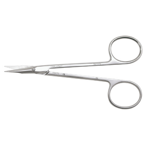 �X�e�B�[�u�����e�m�g�~�[����