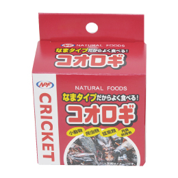 �y�����ؔ��z�V�R�f�ރV���[�Y �R�I���M�@�g�p����2026/8/22