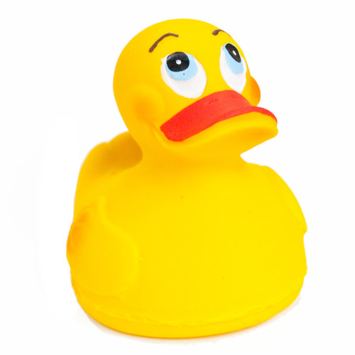 �_�b�L�[�^�C�G���[
