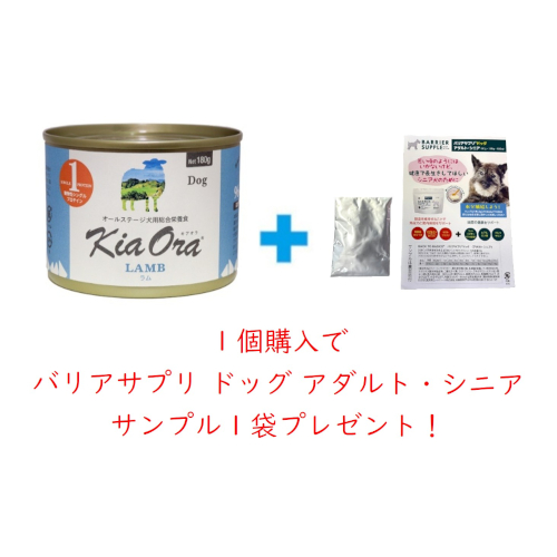 �L�A�I���h�b�O�t�[�h�i�ʋl�j��+�����