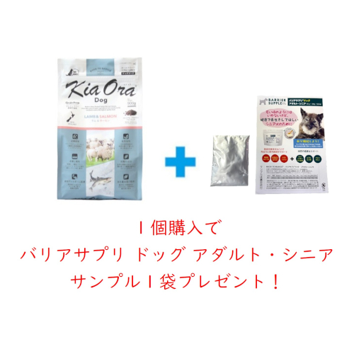 �L�A�I�� �h�b�O�t�[�h ��&����+�����