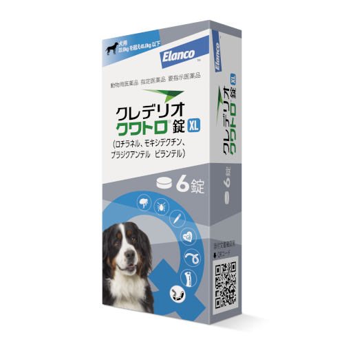 �N���f���I�N���g����XL