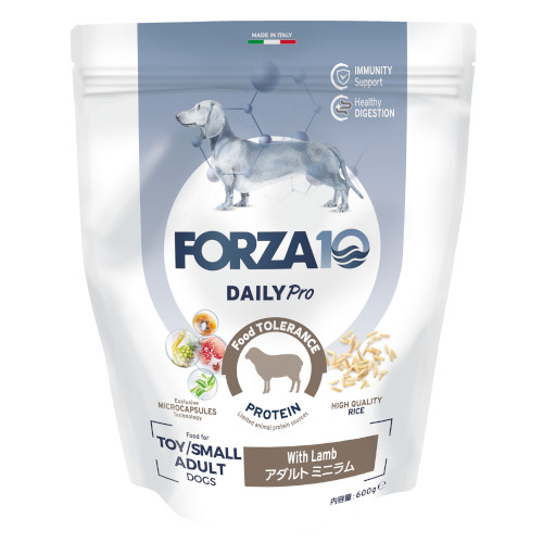 �y�����ؔ��zForza10 Daily Pro �A�_���g�~�j �����@�g�p����2026/9/30