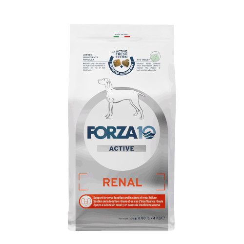 �y�����ؔ��zForza10 ���i�[���A�N�e�B�u �~�f�B�A���@�g�p����2026/9/30