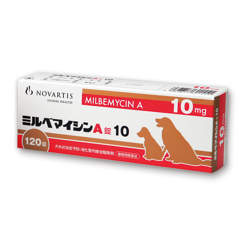 �y�����ؔ��z�~���x�}�C�V��A��10�@�g�p����2026/10/31