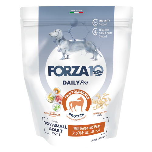 �y�����ؔ��zForza10 Daily Pro �A�_���g�~�j �z�[�X�@�g�p����2026/10/31