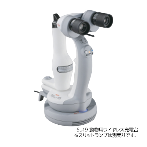 SL-19�����p���C�����X�[�d��