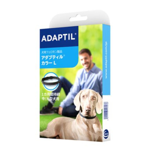 �y�����ؔ��z�A�_�v�e�B���J���[�@�g�p����2026/11/30