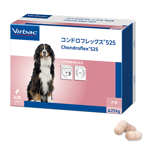 �R���h���t���b�N�X 525