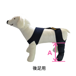 �����c�[�v���e�N�^�[