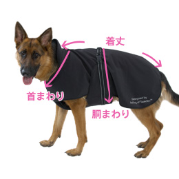 puPbg