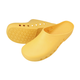 �G�R�N���O�X ���m�g�[��