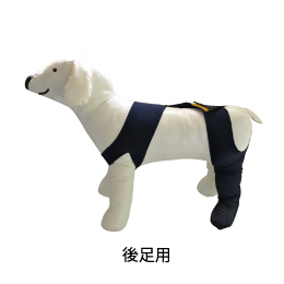 �����c�[�v���e�N�^�[