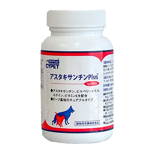 �A�X�^�L�T���`��Plus