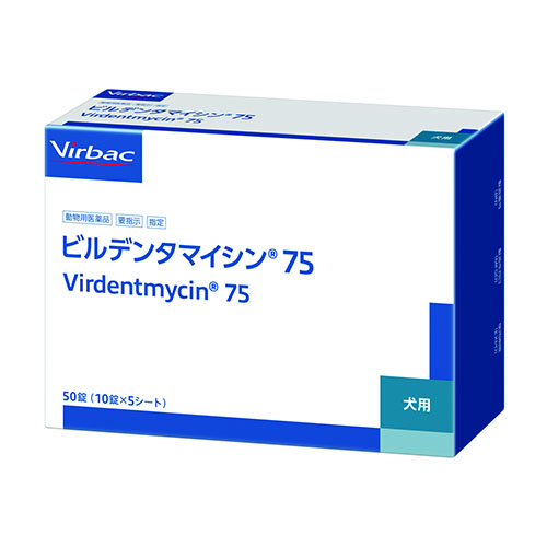 �r���f���^�}�C�V��75