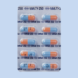 �Z���Z�v�g�J�v�Z��250