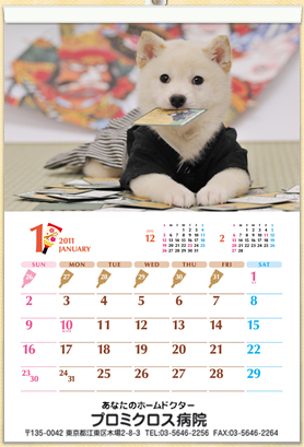 画像表示準備中・・・