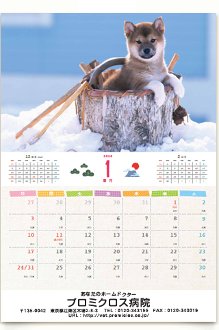 �摜�\���������E�E�E