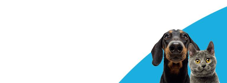 ���ƔL�̔w�i�摜