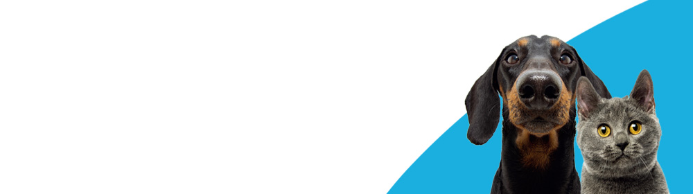 ���ƔL�̔w�i�摜