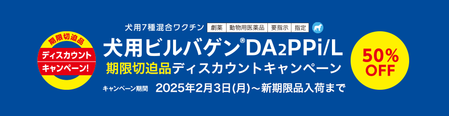 proQDA2PPiؔi50%OFFLy[