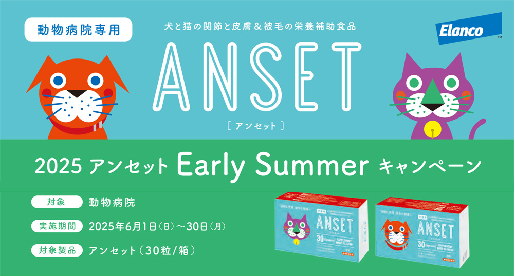 AZbgEarlySUMMERLy[