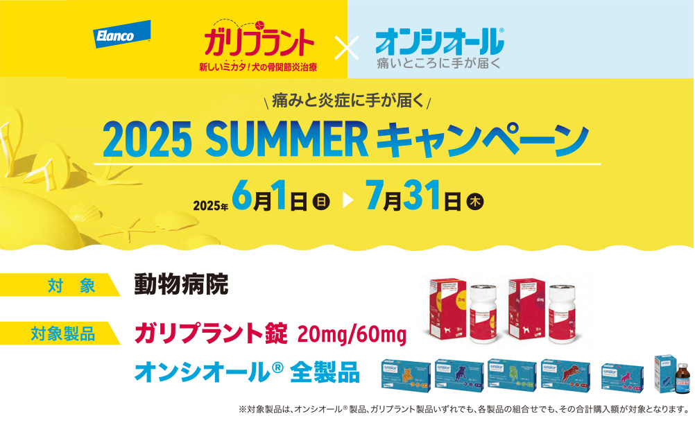 Kvg~IVI[@2025SUMMERLy[