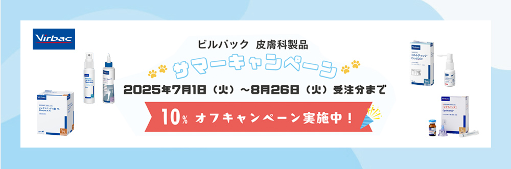 robN畆Ȑi@T}[Ly[@10OFF