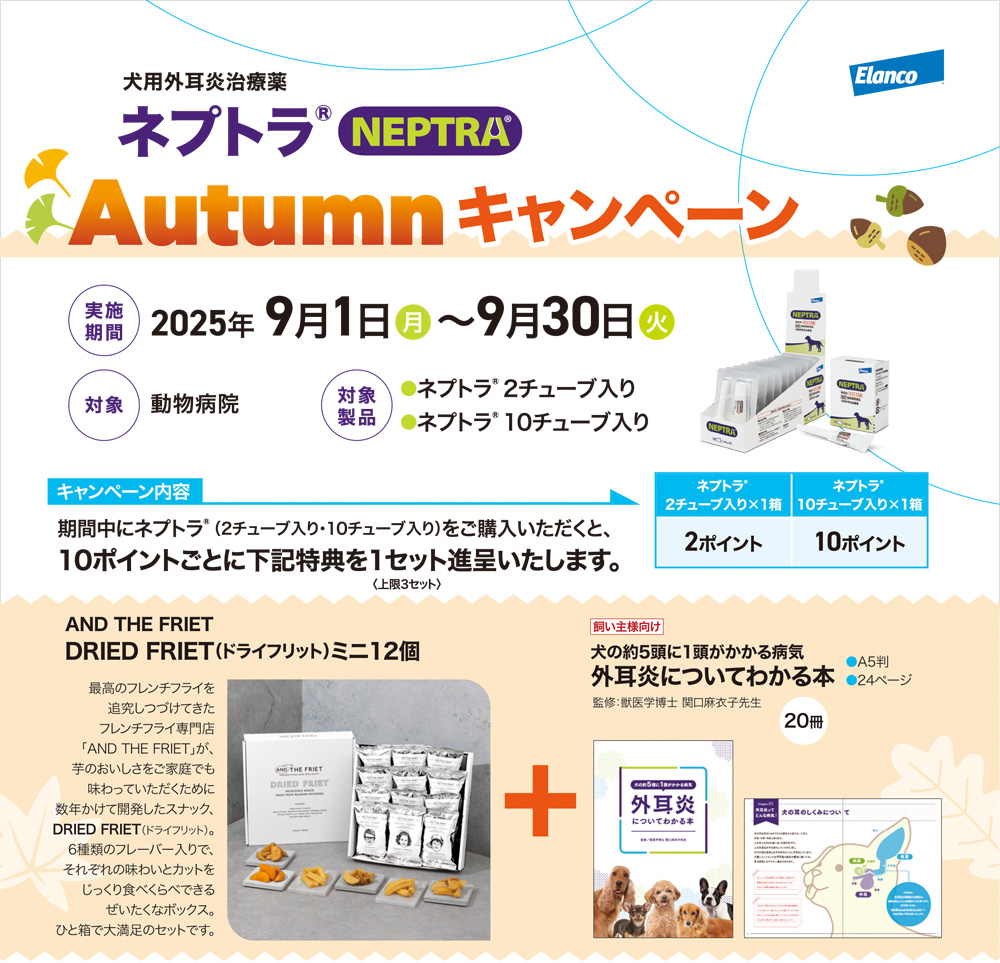 ネ?トラAutumnキャンペ?ン