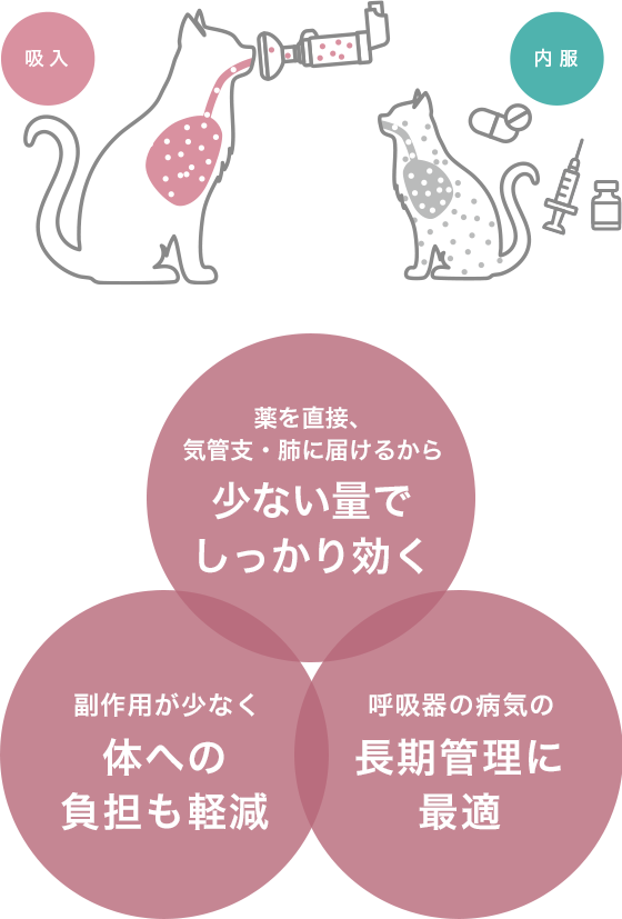 ȂźH
