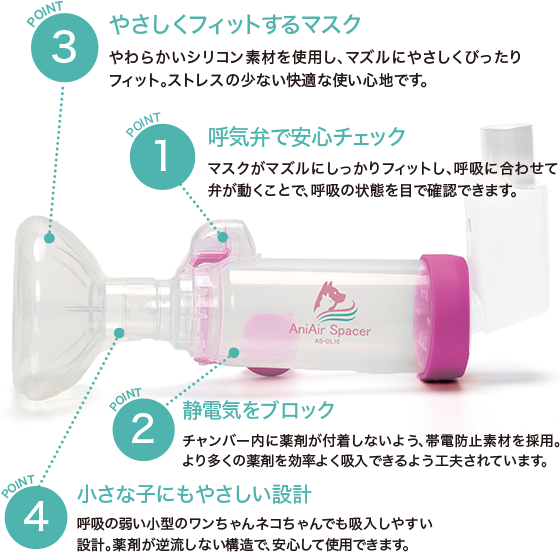 AjGAXy[T[̓
