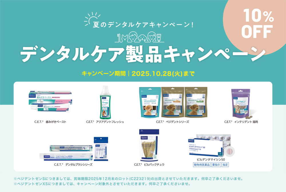 ?ンタルケア製品キャンペ?ン 10?28日(火)まで