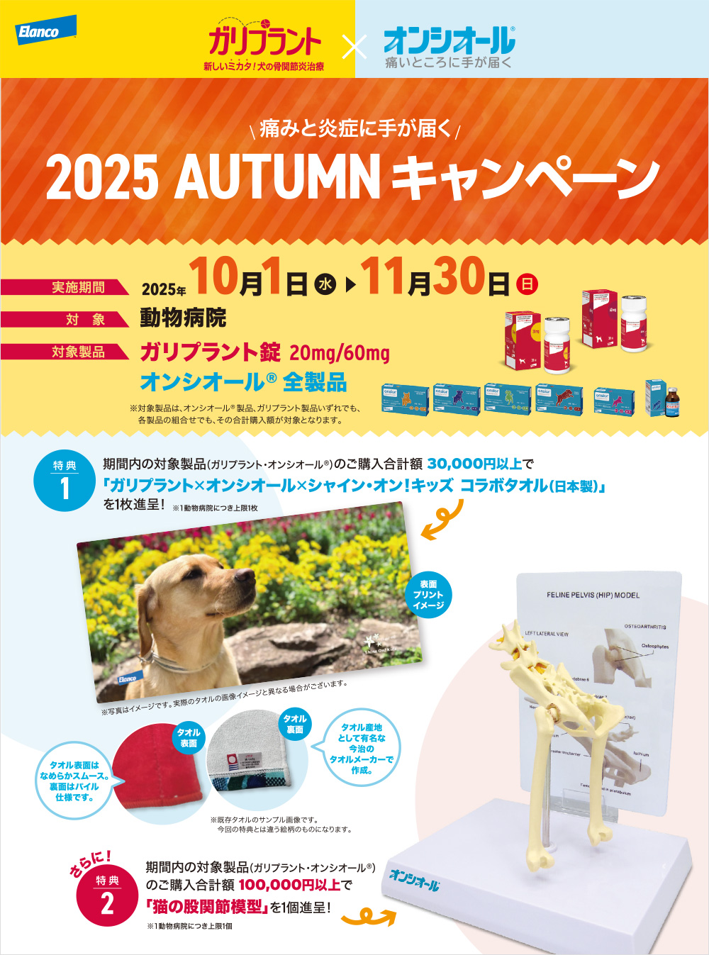 Kvg~IVI[@2025AUTUMNLy[