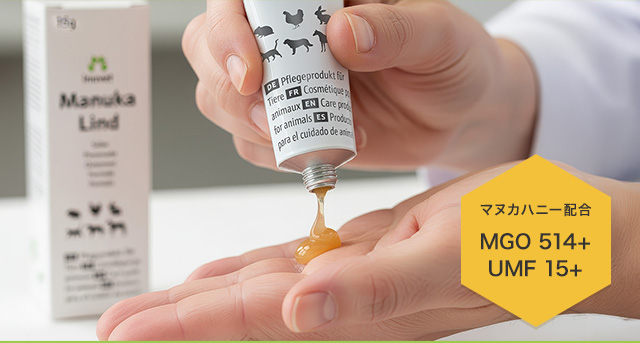 �}�k�J�n�j�[�z��MGO 514+�@UMF 15+